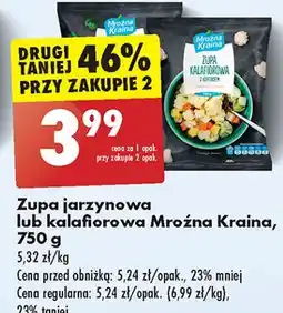 Biedronka Zupa jarzynowa Mroźna Kraina oferta