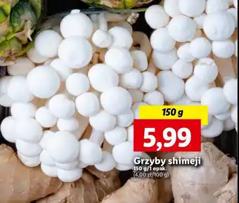 Lidl Grzyby shimeji oferta