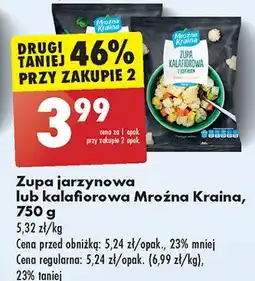 Biedronka Zupa jarzynowa Mroźna kraina oferta