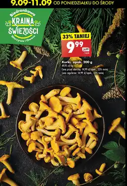 Biedronka Kurki - całe oferta