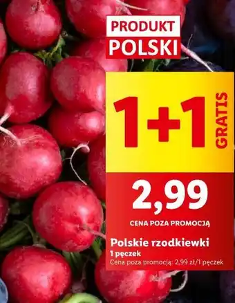 Lidl Rzodkiewka oferta