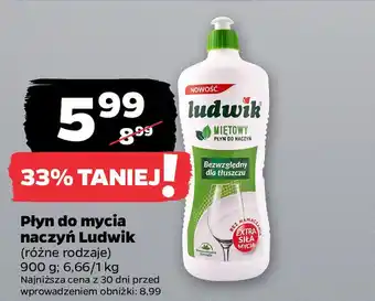 Netto Płyn do mycia naczyń Ludwik oferta