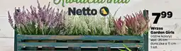 Netto Wrzos Garden Girls oferta