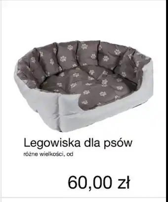 ALDI Legowisko dla psa 1 SZT oferta