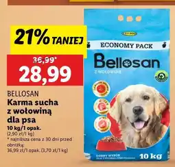 Lidl Karma dla psa wołowina Bellosan oferta