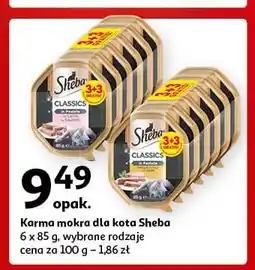 Auchan Karma dla kota pate z koktajlem drobiowym Sheba Classics oferta