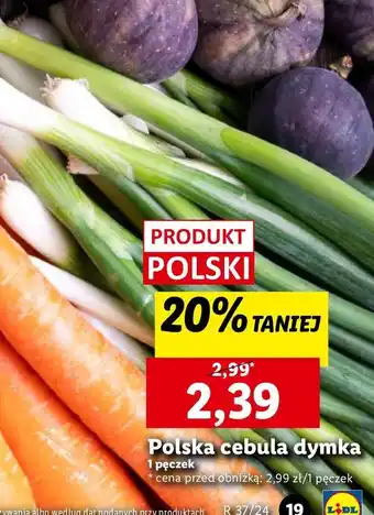 Lidl Cebula dymka polska oferta