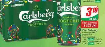 Dino Piwo Carlsberg oferta