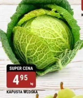 bi1 Kapusta włoska oferta