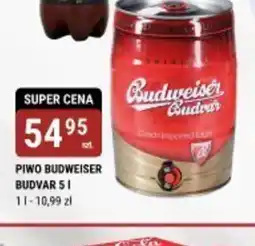 bi1 Piwo Budweiser Budvar oferta
