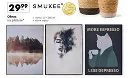 Biedronka Smukee obraz na płótnie oferta
