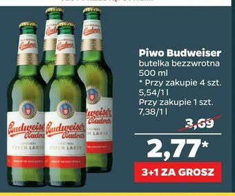 Netto Piwo Budweiser oferta