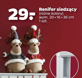 Netto Renifer siedzący oferta