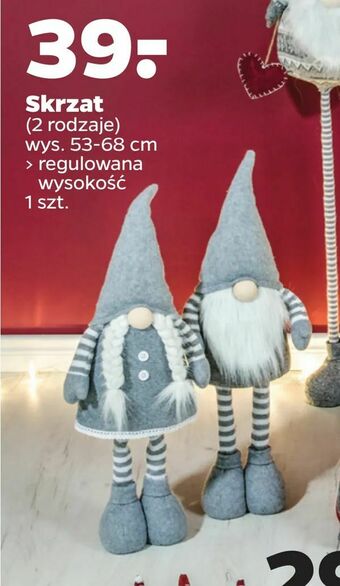 Netto Skrzat oferta
