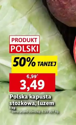 Lidl Kapusta stożkowa oferta