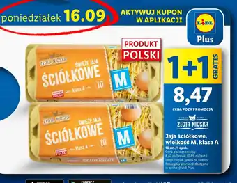 Lidl Jaja ściółkowe kl. m Złota nioska oferta