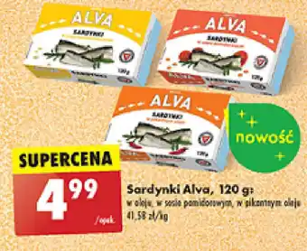 Biedronka Sardynki Alva oferta