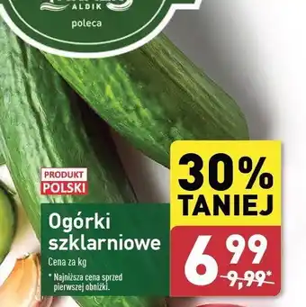 ALDI Ogórek szklarniowy polska oferta