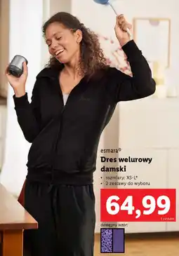 Lidl Esmara Dres welurowy damski oferta