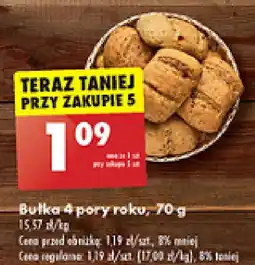 Biedronka Bulka 4 pory roku oferta