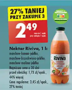 Biedronka Nektar Riviva oferta