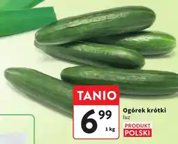 Intermarche Ogórek krótki oferta