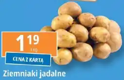 E.Leclerc Ziemniaki jadalne oferta