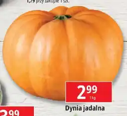 E.Leclerc Dynia jadalna oferta