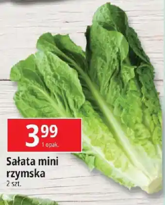 E.Leclerc Sałata mini rzymska oferta
