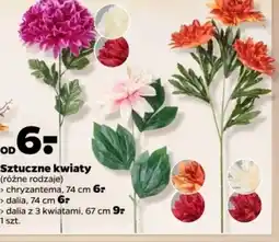 Netto Kwiat sztuczny Dalia oferta