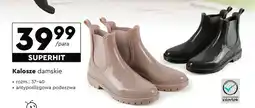 Biedronka Kalosze oferta
