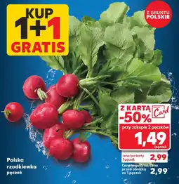 Kaufland Polska rzodkiewka oferta