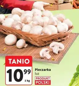 Intermarche Pieczarka oferta