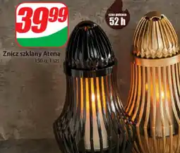 Dino Znicz oferta
