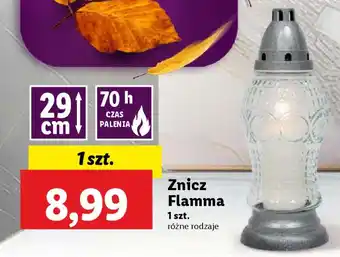 Lidl Znicz Flamma oferta