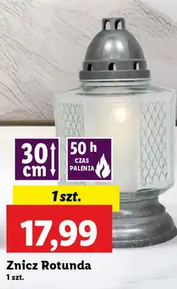 Lidl Znicz Rotunda oferta