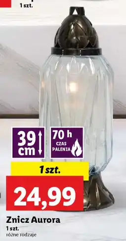 Znicz Aurora