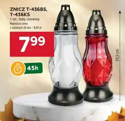 Stokrotka Znicz oferta