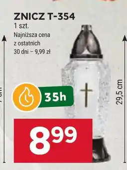Stokrotka Znicz oferta
