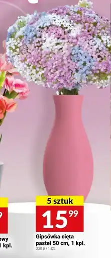 Twój Market Goździk gałązkowy premium cięty 50 cm oferta