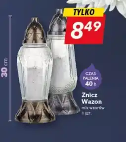 Lewiatan Znicz oferta