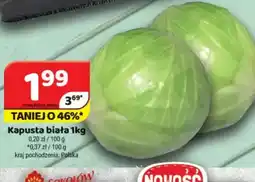 Delfin Kapusta biała oferta