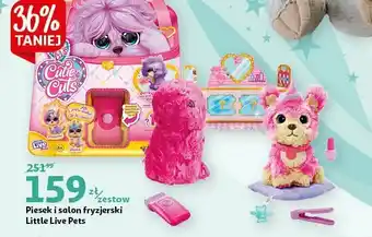 Auchan Piesek i salon fryzjerski 1 SZT oferta