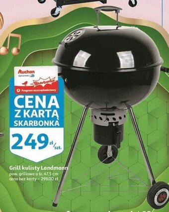 Auchan Grill kulisty Landmann oferta