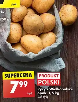 Biedronka Pyry z wielkopolski oferta