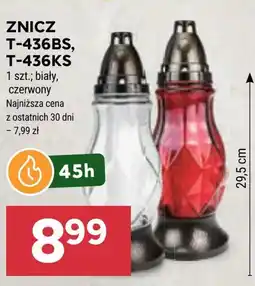Stokrotka Market Znicz oferta