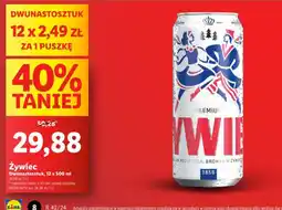 Lidl Zywiec oferta