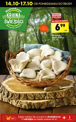 Boczniaki