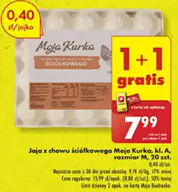 Biedronka Jaja z chowu ściółkowego Moja Kurka, kl. A, rozmiar M oferta