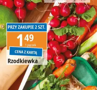 E.Leclerc Rzodkiewka oferta